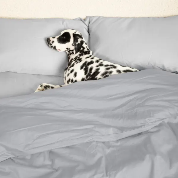 Sateen Dream™ Duvet Cover - Image 33
