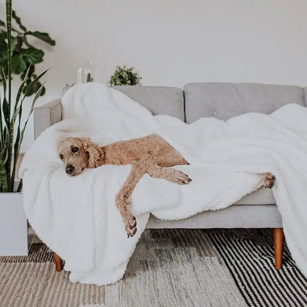 Premier Plush™ Blanket - Image 3