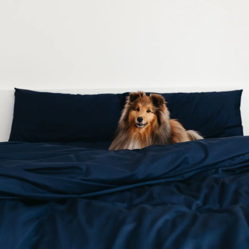 Sateen Dream™ Pillowcases - Image 13