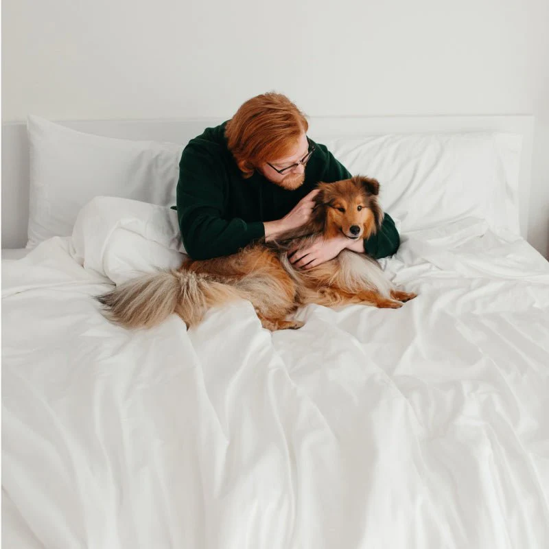 Sateen Dream™ Pillowcases - Image 16
