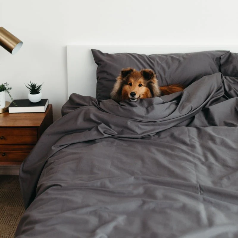 Sateen Dream™ Pillowcases - Image 3