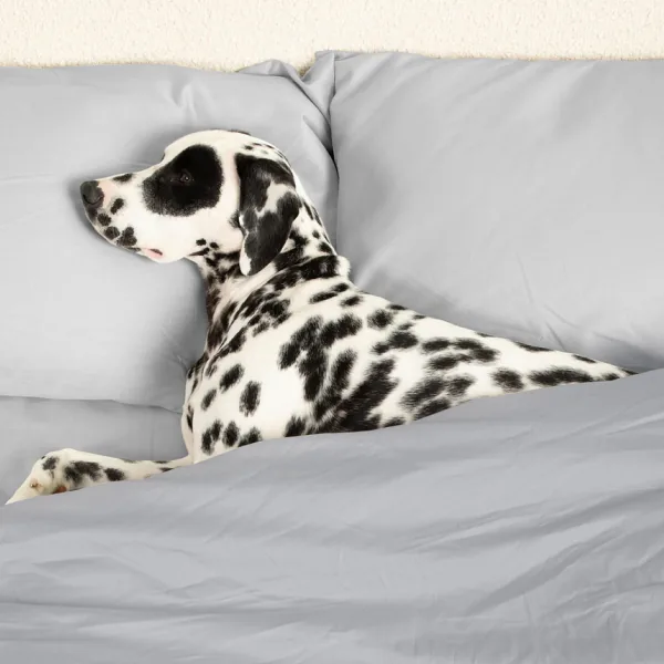Sateen Dream™ Pillowcases - Image 35