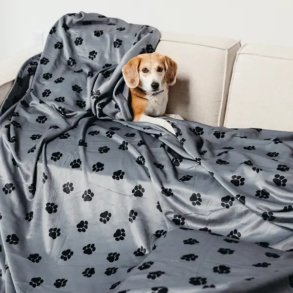 Sherpa Stretch™ Blanket - Image 58